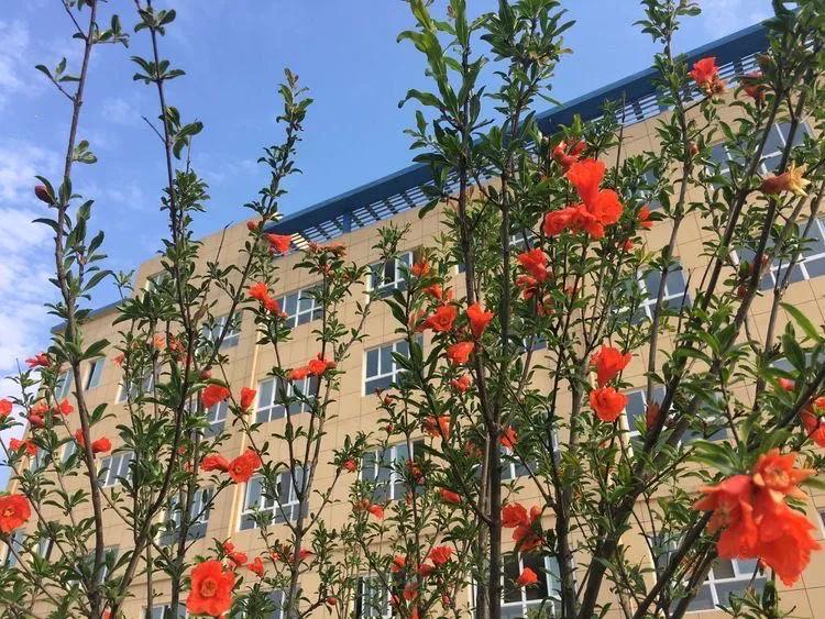 岩土工程 第535页