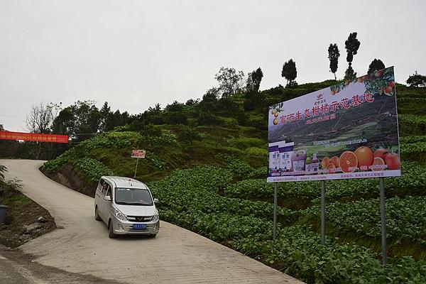 建峰化工最新消息，心灵与自然的奇妙交汇之旅