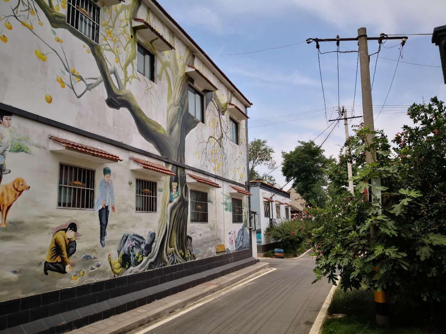 新乡市限号通知更新，变化推动成长，自信与成就从新起点启航