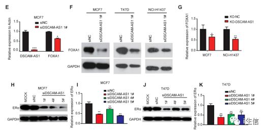 澳门资料大全,最新数据挖解释明_USP78.366明星版