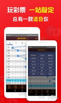 王中王一肖一特一中,202023,策略优化计划_CTU78.228创意版