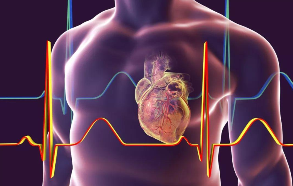 2024澳门金牛版网站,科学分析严谨解释_EEZ78.766活力版 新澳濠江伦坛55168