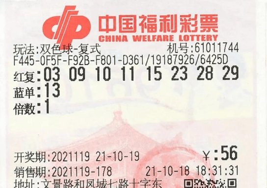 新澳门今晚开奖结果 开奖,推动策略优化_SDT78.768后台版