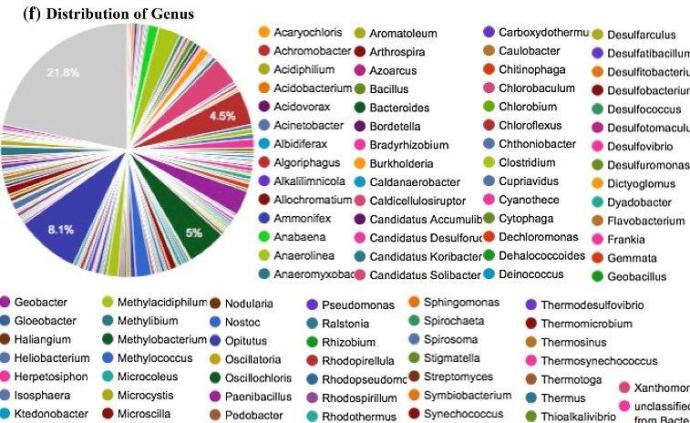 新澳门彩精准一码内部网站,可视化管理解决方案_HIT78.983人工智能版