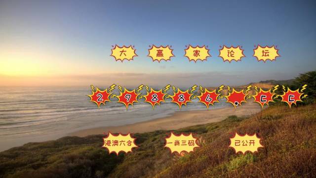 新澳门天天彩2024年全年资料,深入研究执行计划_TQC78.133发布版 管家婆最准一肖一特