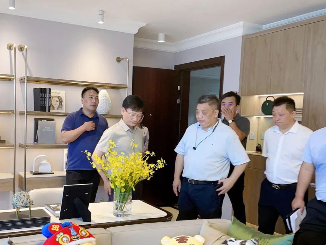 安徽区域调整的最新动态与消息更新
