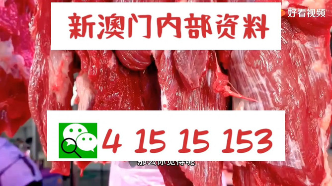 管家婆新澳门资料论坛,策略规划_HYC78.665炼脏境