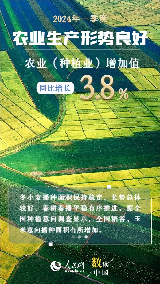 2024年全年资料免费大全,快速实施解答研究_NQJ78.529影音版 王中王精准资料期期中澳门2023