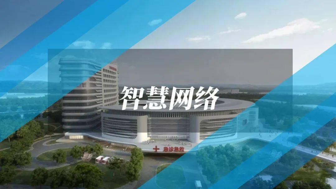 新奥门管家婆免费大全,精准解答方案详解_QOE78.244零障碍版 四不像特马图今晚必出