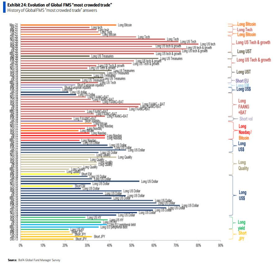 4949正版免费资料大全,实际调研解析_PJP78.152闪电版