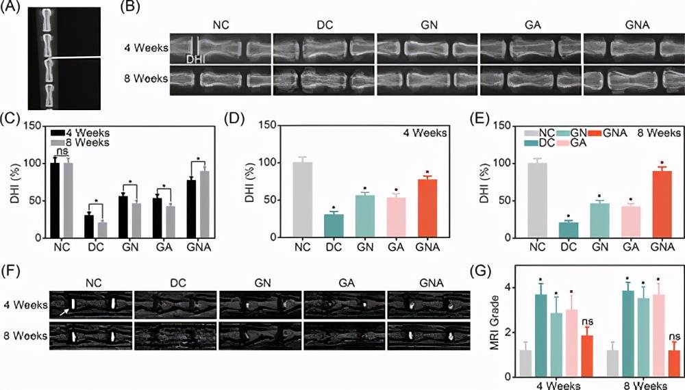 管家婆必中一肖一鸣,定性解析明确评估_APB78.280炼髓境
