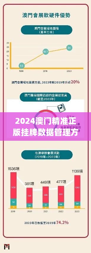 澳门正版挂牌网,统计数据详解说明_BDD78.298按需版