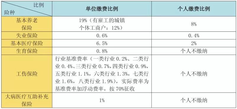 奥门今晚开奖结果+开奖记录,社会承担实践战略_GEW78.827互动版