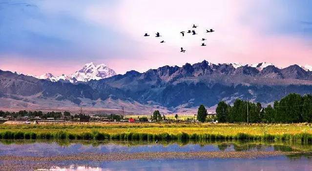 东泥沽自然美景探索之旅,心灵宁静的最新体验