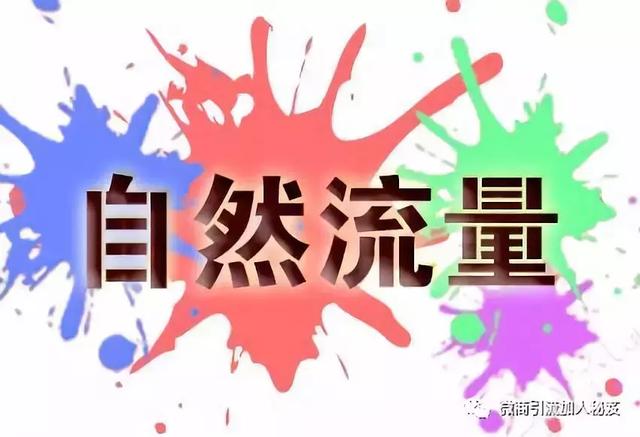 耄耋佳缘最新地址,寻找内心平静的自然之旅启程点