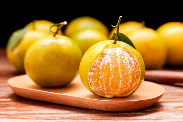 中国最新优质柑橘品种探索之旅,自然美景下的柑橘盛宴