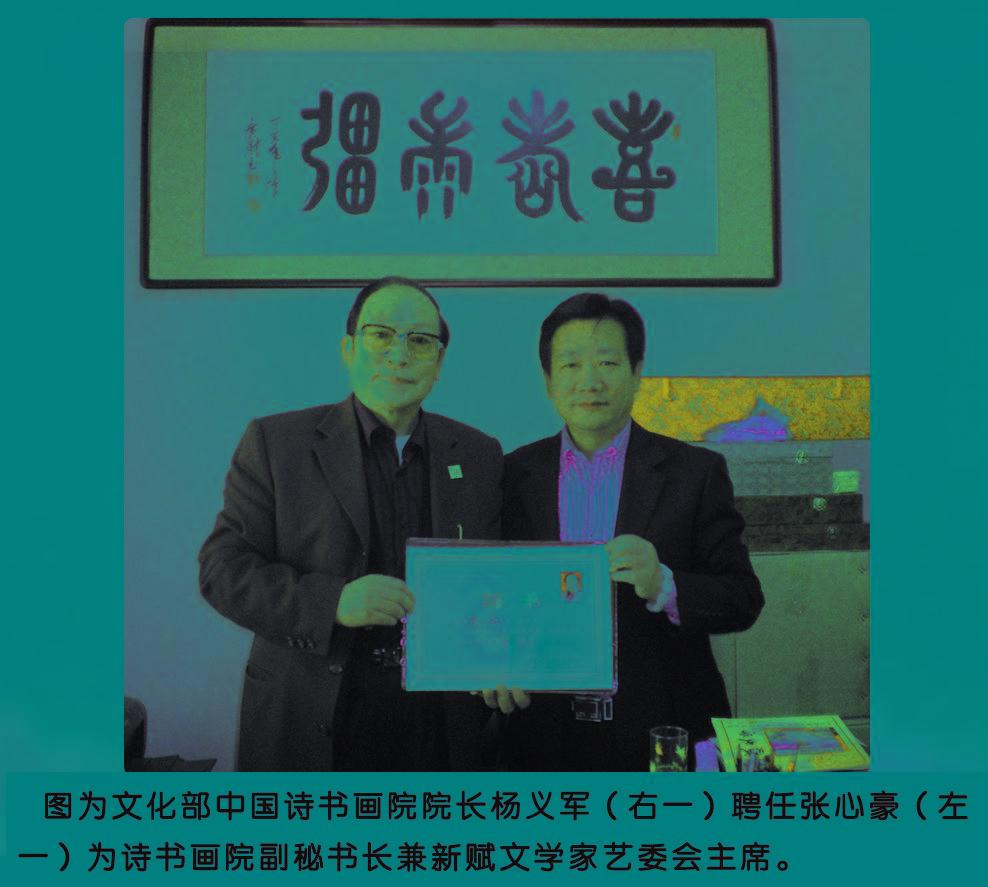 张献豪最新动态，技能提升与任务完成指南