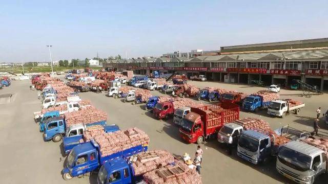 地滩货批发最新产品，时尚潮流与实用性的完美结合亮相批发市场