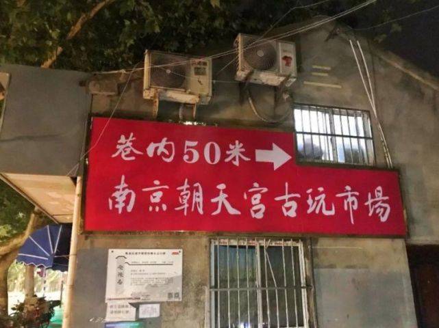 天一犬舍，探寻神秘乐园，遇见最新种公的魅力