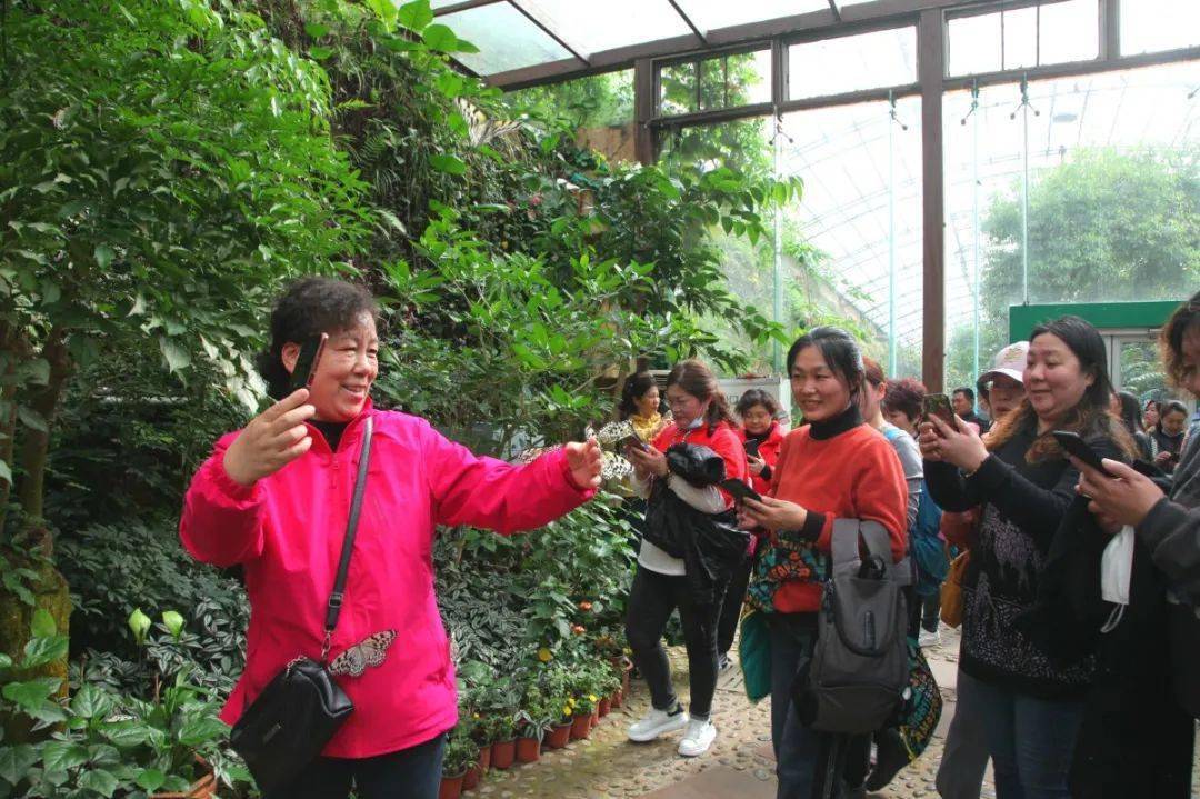 天津弃婴岛，守护新生之旅最新进展报道