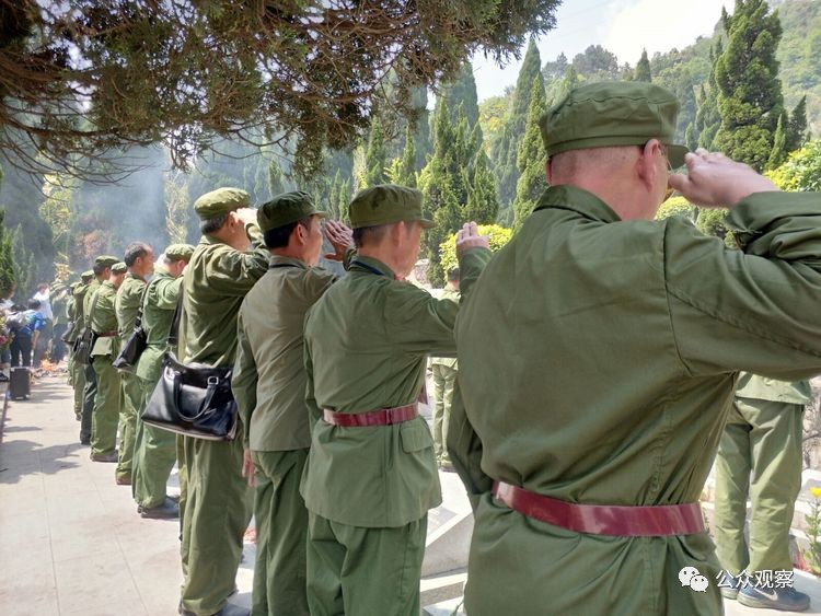 广东参战老兵最新消息及指南速递