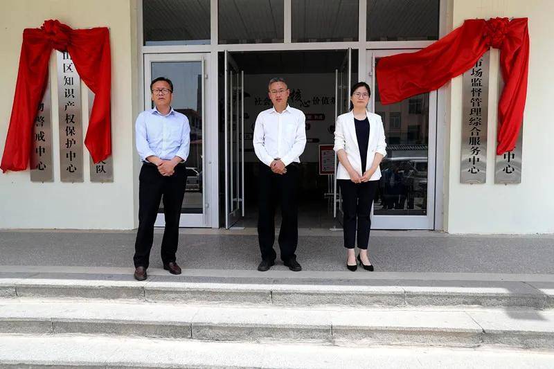 2024新澳正版挂牌之全篇,稳固计划实施_BBD23.284珍藏版