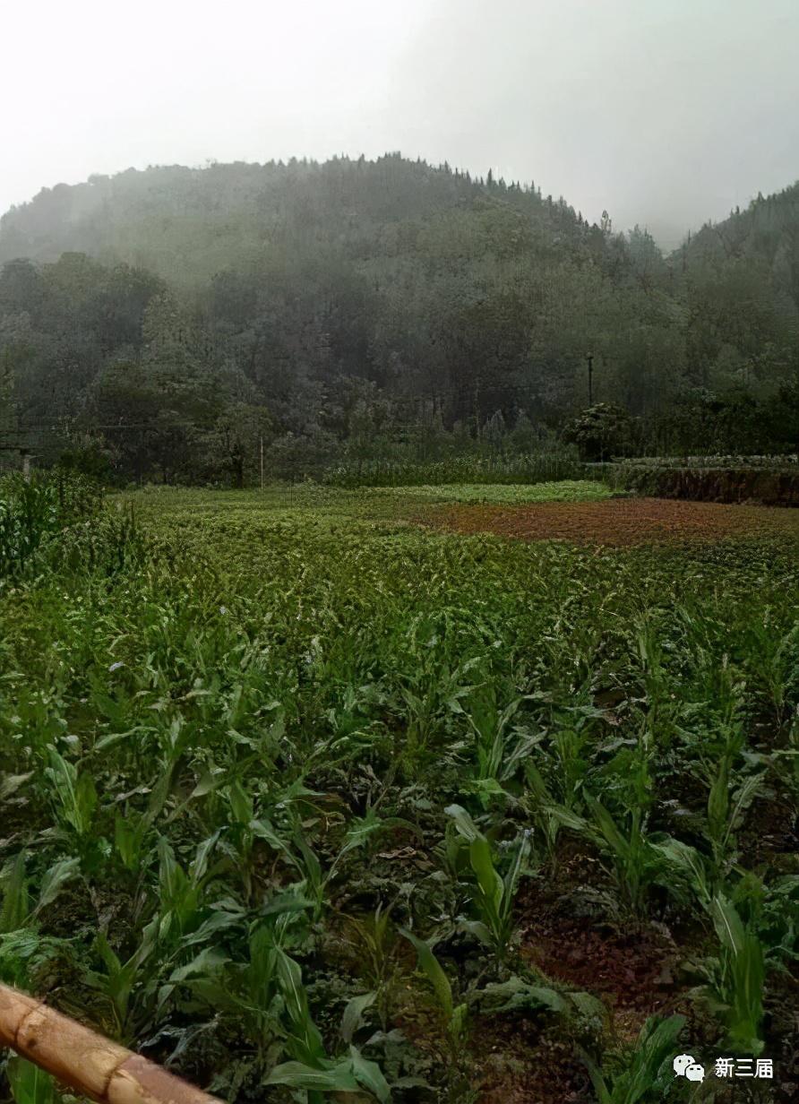 工程检测 第483页