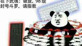 今晚四不像最准确一肖,实用性解读策略_IVG23.475高端体验版