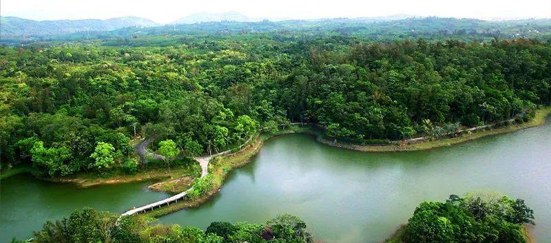 芝茅公路最新动态，启程自然美景探索之旅
