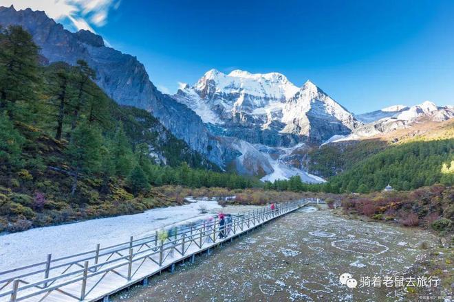 芝茅公路最新动态,启程自然美景探索之旅