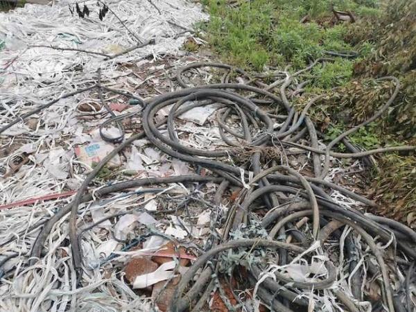 湖南长沙疫情下的日常趣事与最新消息