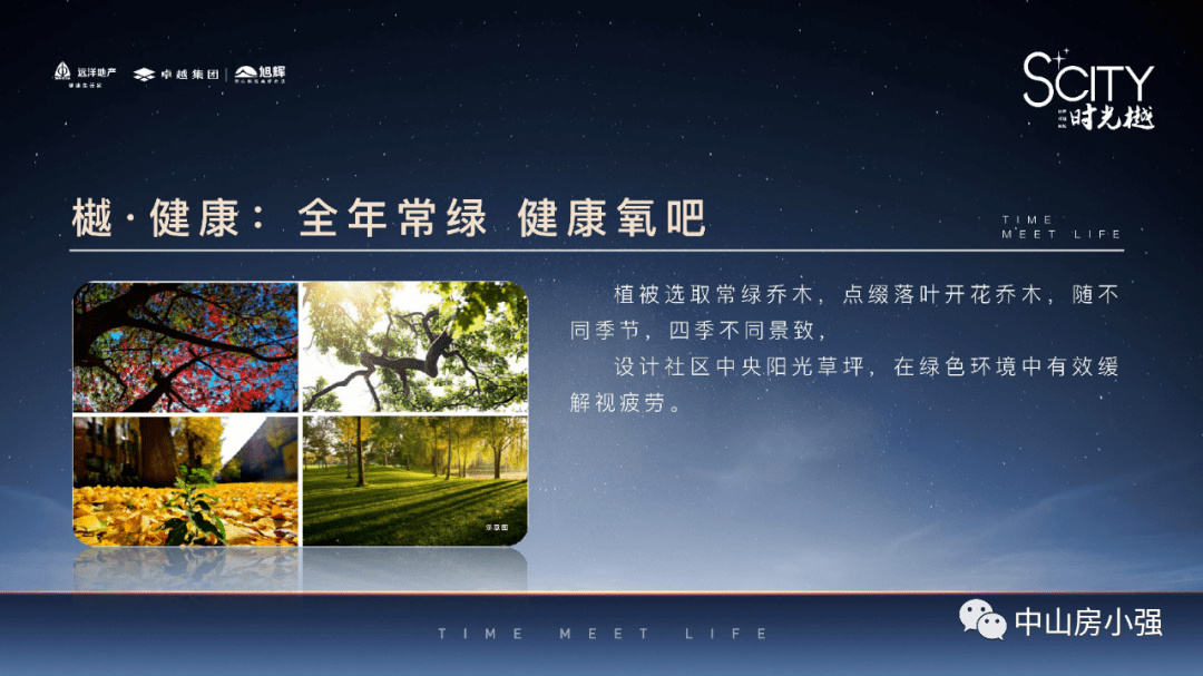 最新行情分析，400PE管价格、市场趋势预测与深度解读