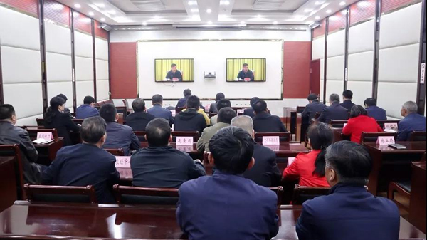 涡阳新闻深度解析，最新消息与观点阐述