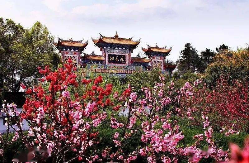桃花源最新地址揭秘，一段温馨有趣的寻访桃花源之旅