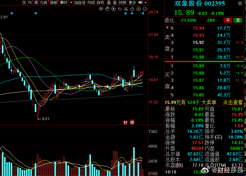 双龙股份最新动态与消息速递📢🚀