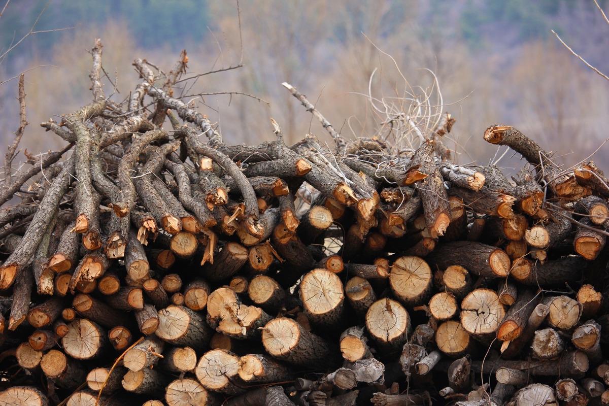 72517蓝月亮论坛资料查询,精准解答方案详解_HYV10.551多维版