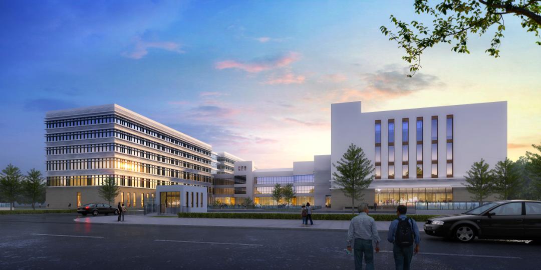 2024又要开始做核酸了,最新研究解读_QTG10.223无限版