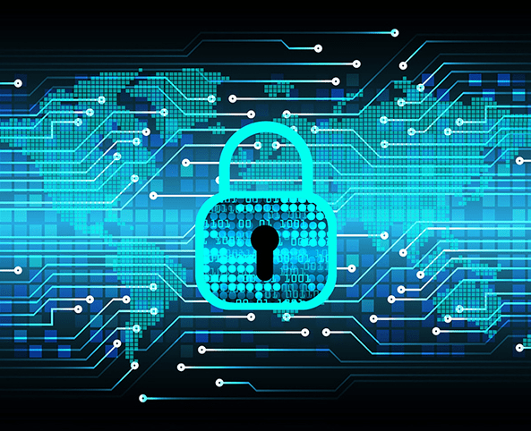 新澳门正版天天资,实地观察数据设计_LVZ10.781影音版