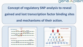 精准马料资料免费大全,科学解说指法律_UCV10.364流线型版