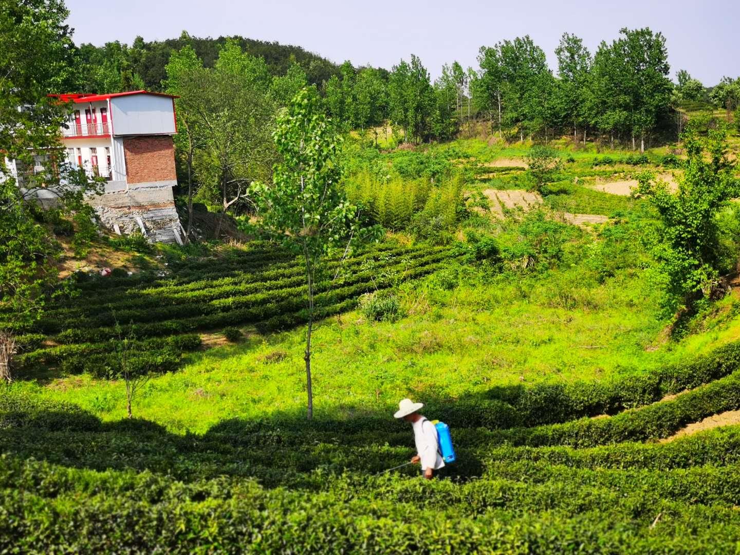 淮南万国广场最新动态揭秘，发展与变迁的深入探讨