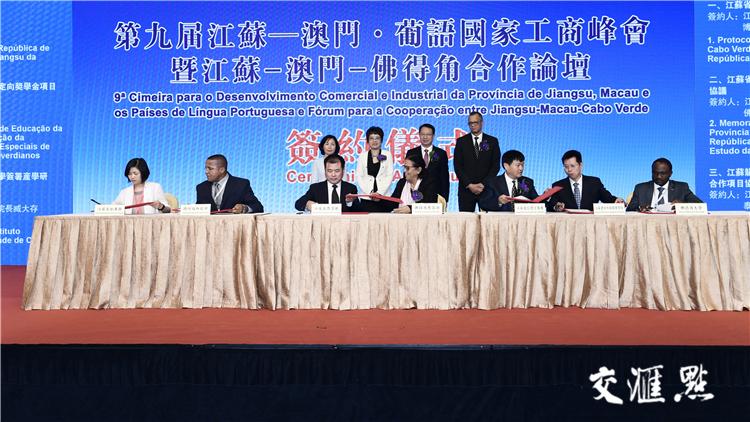 澳门今晚一肖必中,稳健设计策略_BTL10.708轻奢版