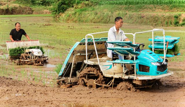 最准一码一肖100%中奖网站,农业机械化与电气化_RXM10.254桌面款