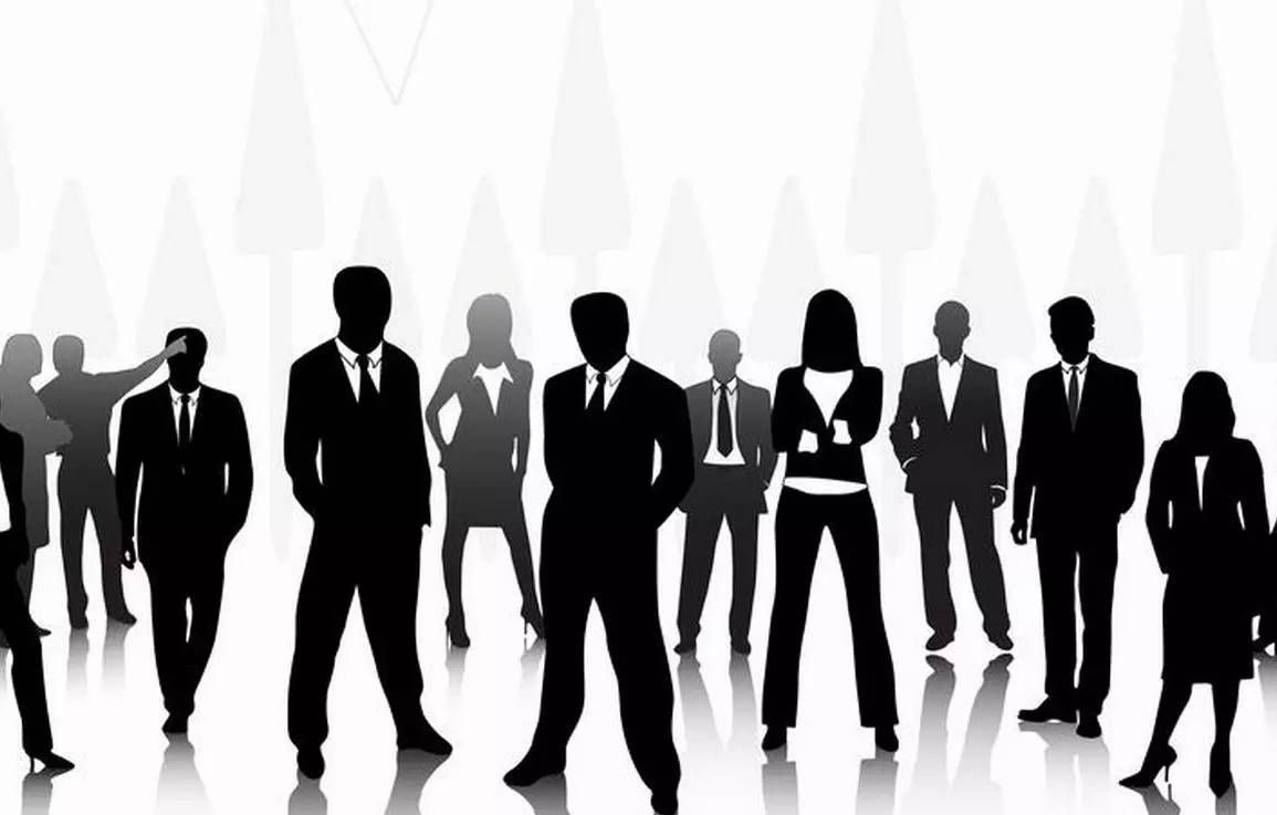 织金最新人事任免,多方观点分析与立场阐述深度解读