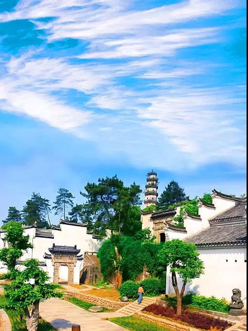 大园最新视频，探索自然之美的独特魅力之旅