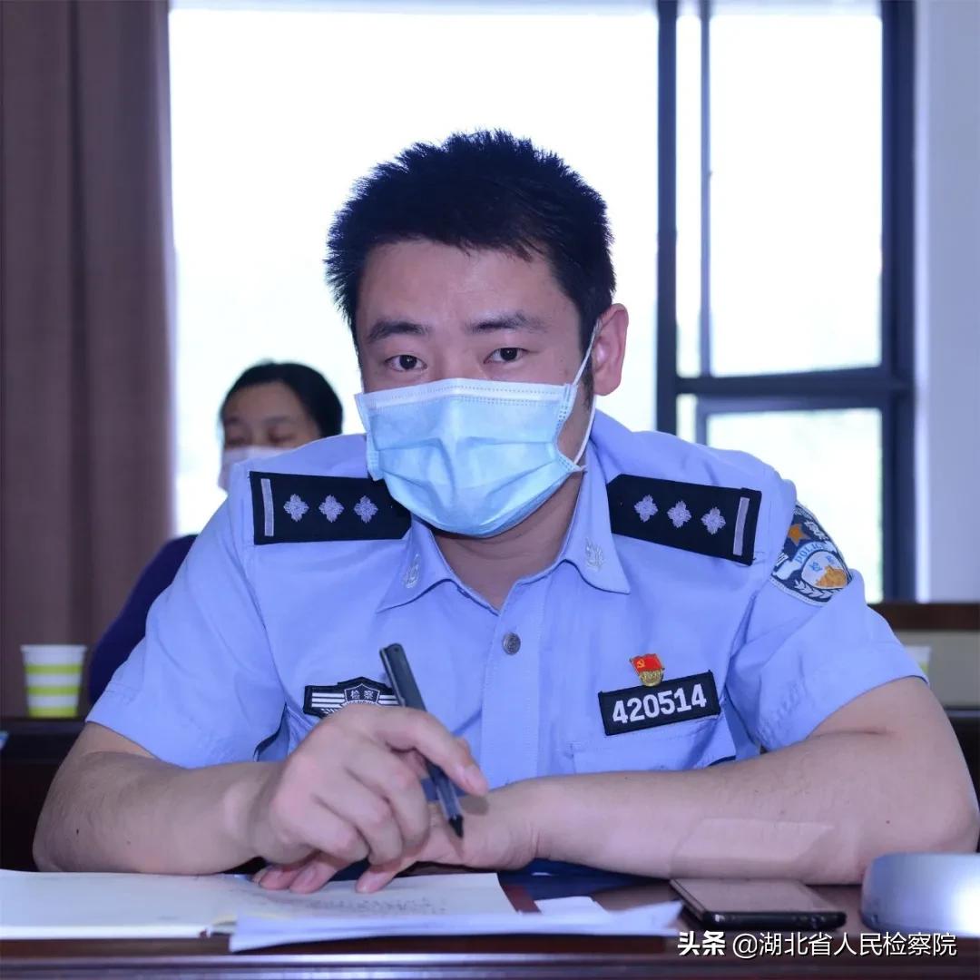 宜昌最新通报，自然之旅探寻内心平和宁静