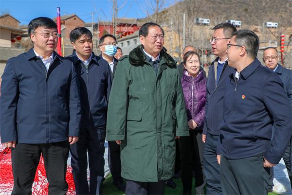 陵川最新疫情全面审视与观点阐述