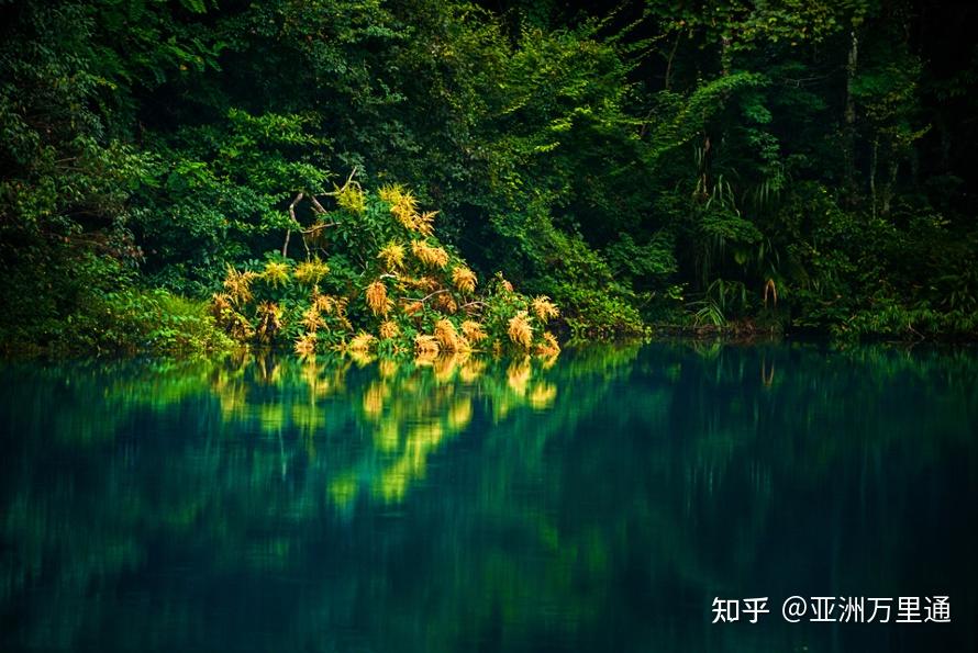 自然之旅，疫情下的最新视频，重拾内心的宁静与欢笑的力量