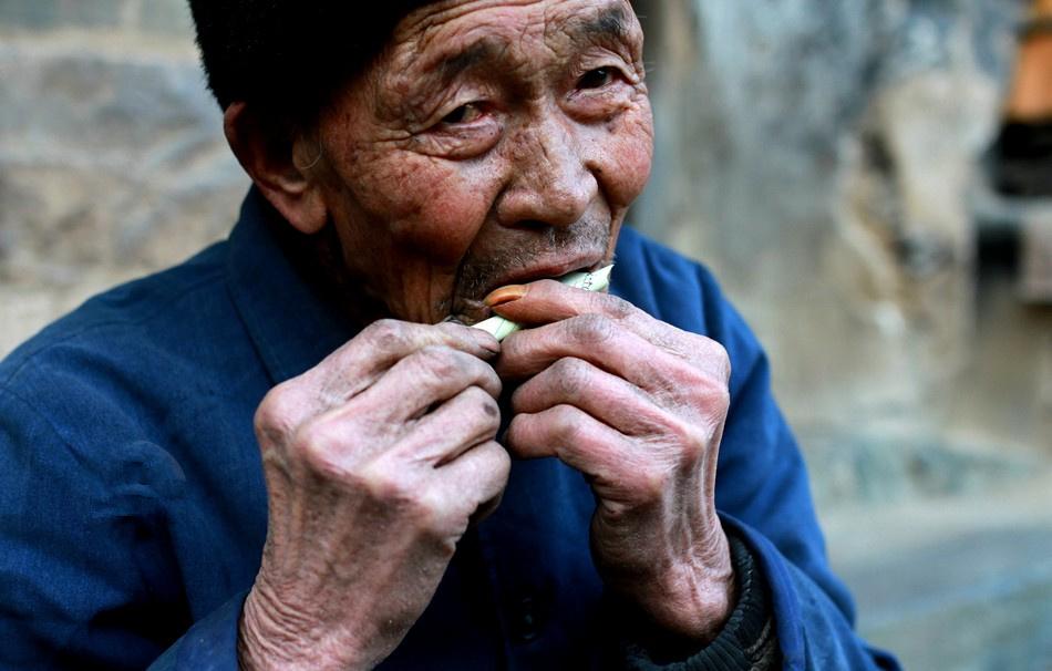 云南最新果树，科技与自然融合，生活焕发新光彩
