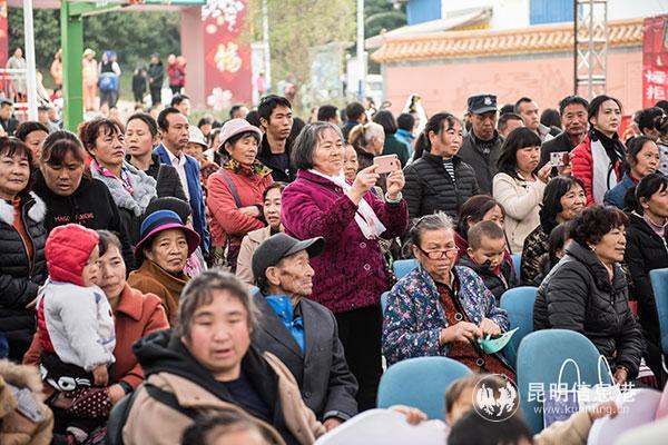 小新最新季深度解析，展现独特魅力与价值