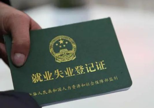 最新台风等级，变化的力量与学习的魅力探索